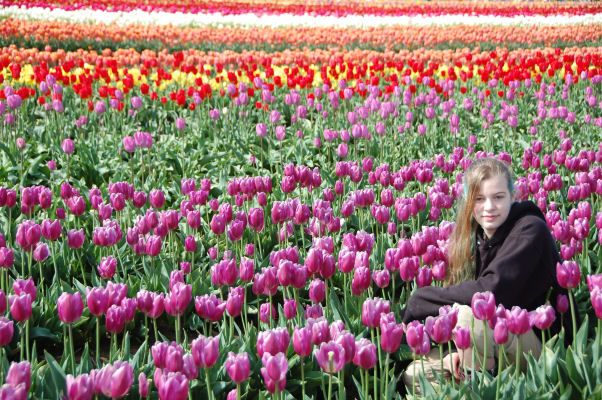 Terra in tulips