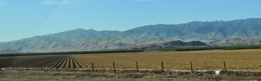 My attempt to make the Central Valley look beautiful. (Luckily the photo doesn't capture the stinky cow poop smell.)