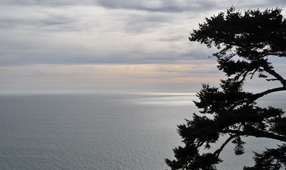Our first glimpse of sea as we moved south of Crescent City.