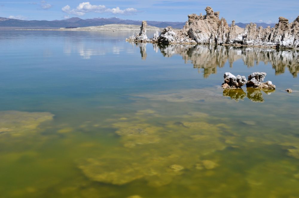 The water hosts life on many levels, to include plant life below the surface