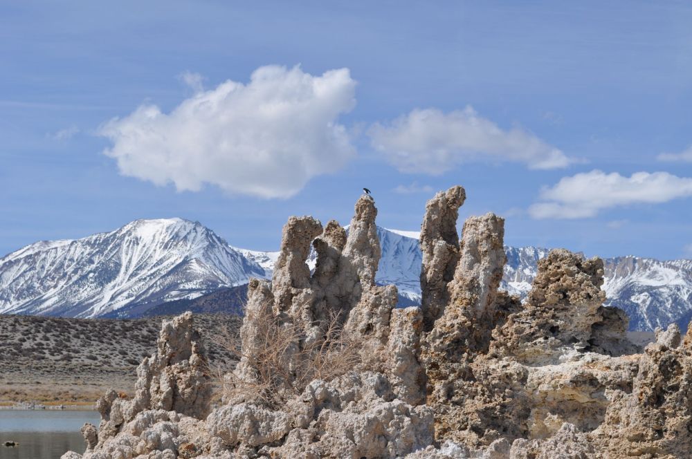 A bird perches high atop a spire for a magnificent view