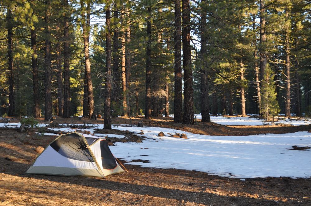 Our camp beside the Lassen National Forest road