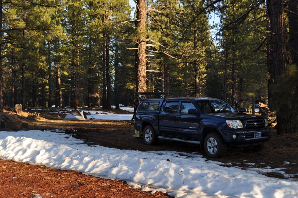 Our final campsite in the trees.