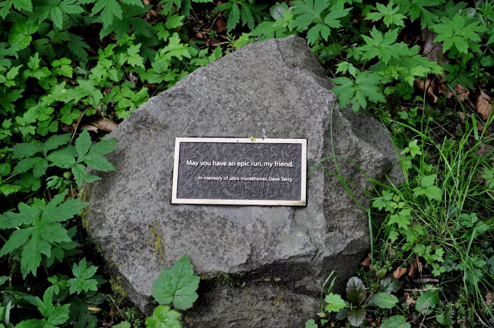 Awwww, I thought this was a really wonderful tribute. Here's a place to read more and see a video about Dave Terry's memorial.