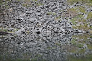 granite reflection