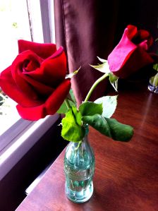 roses in Coke bottle
