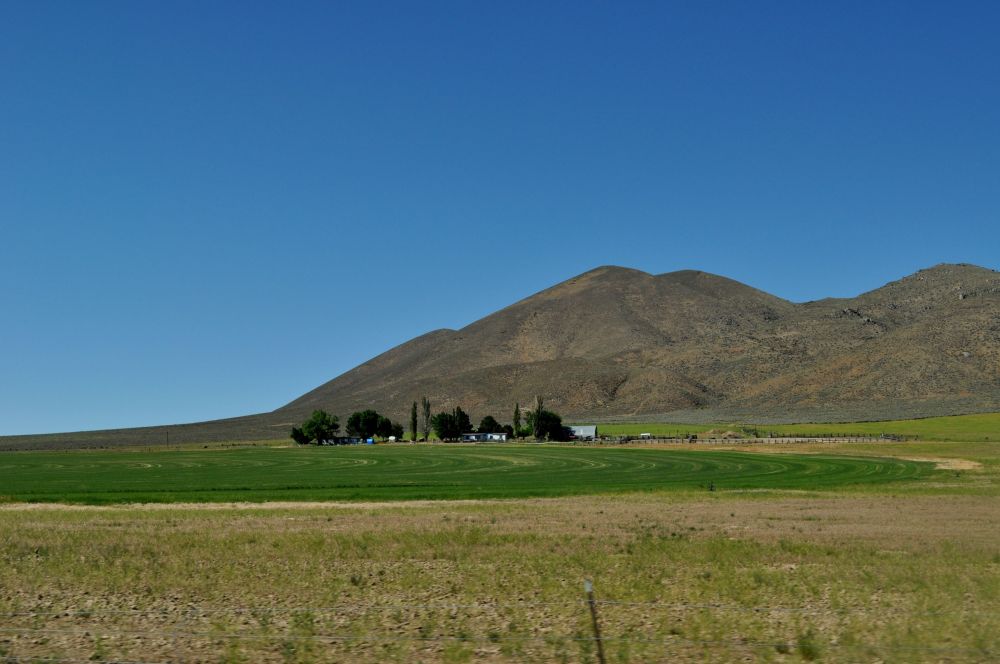It's so stark I could be tricked into thinking this is an artist's rendering of a farm. But no, this is simply Eastern Oregon.