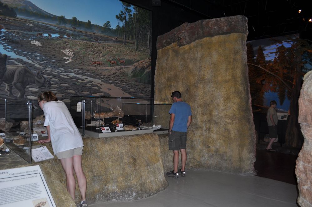 Tara, Arno, and Diego engrossed in the displays