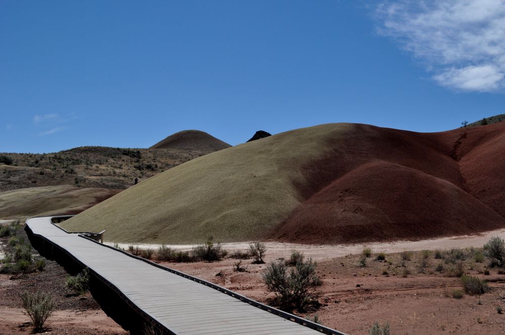 boardwalk into Painted Cove Trail