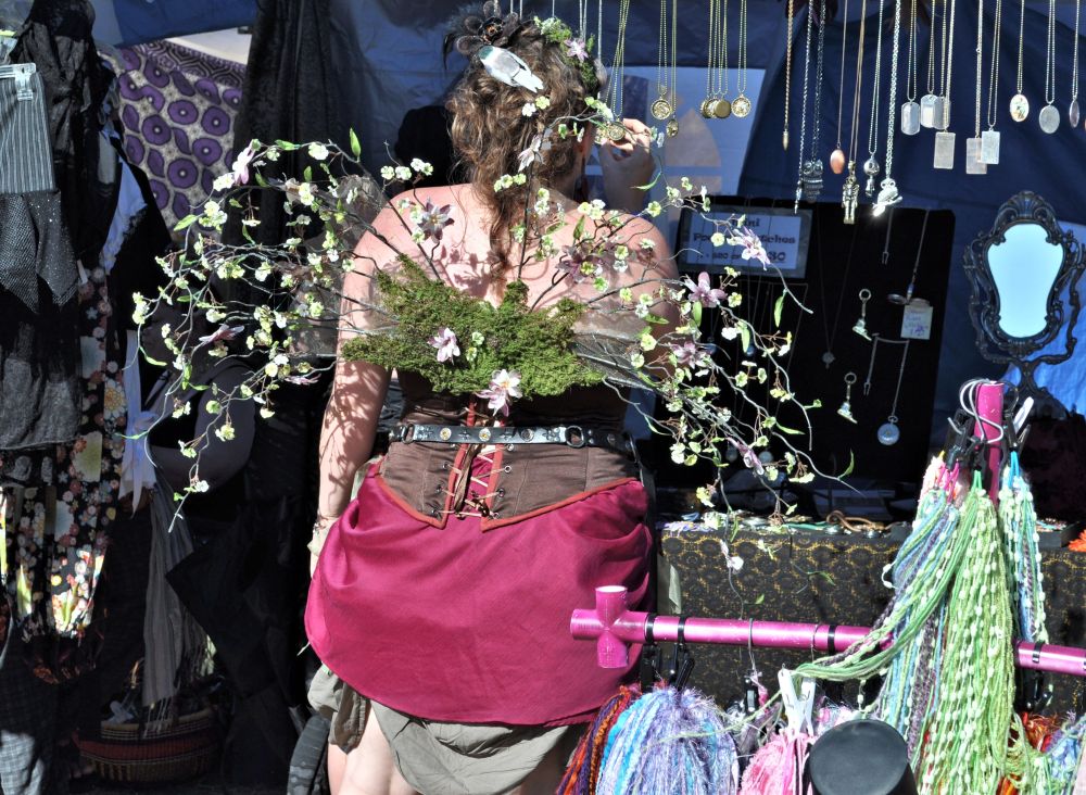 Fantastic wings! Will they even work?