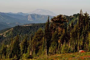 Mt. St. Helens in the distance