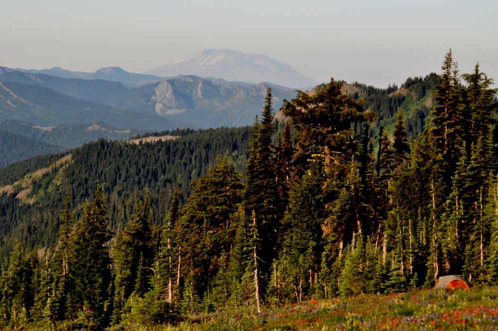 Aaaaand a pretty cool view of the blown top of Mt. St. Helens above our tent, too.