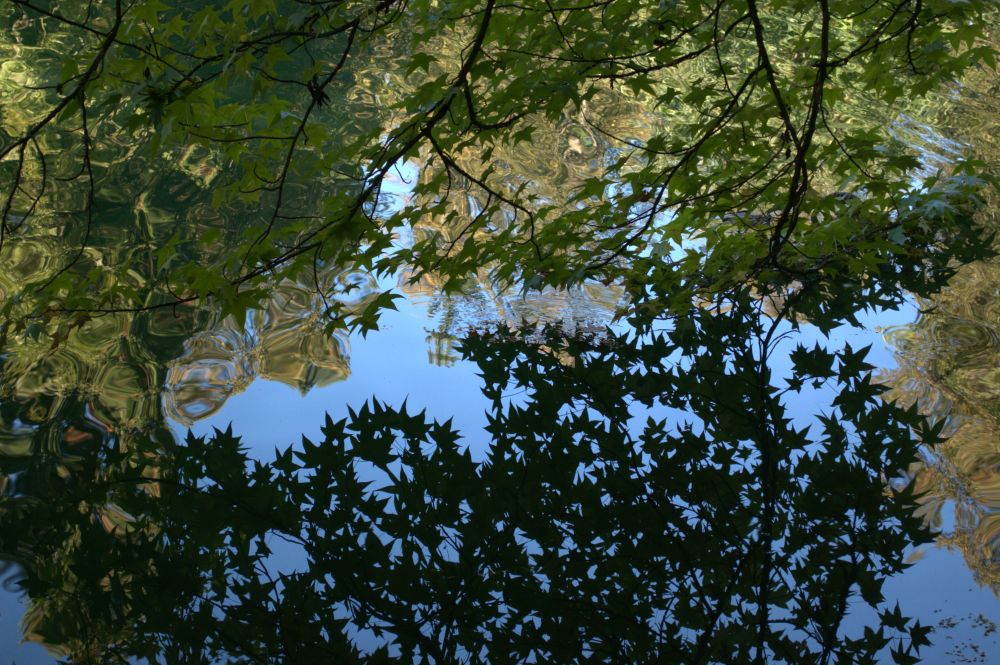 I enjoyed experimenting with the reflections in the lake.