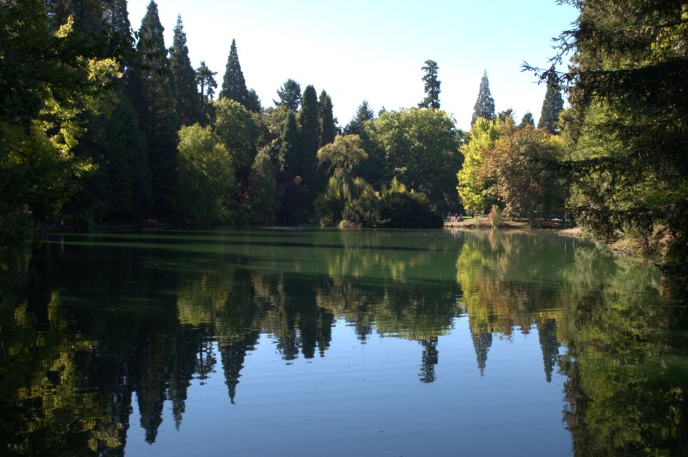 Island in a lake at Laurelhurst Park in Portland, Oregon