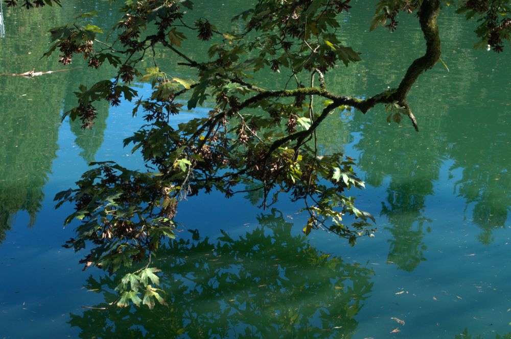 The algae gives a strong colour to the lake