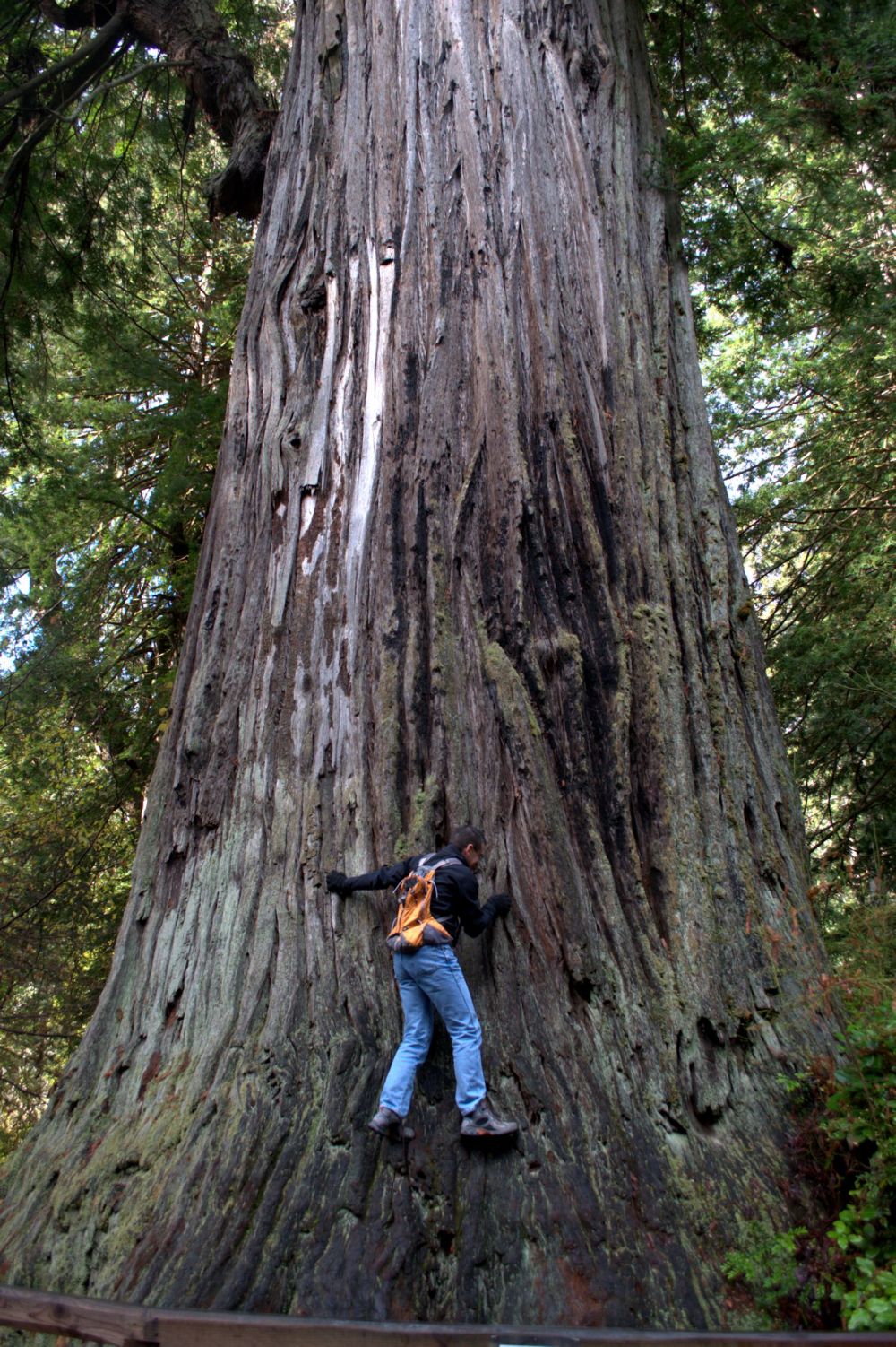My Arno, the climber
