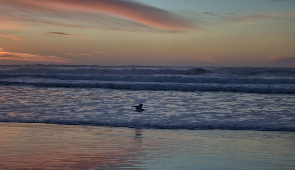 ....and when it turns out that I am only holding a camera, she leaves us.