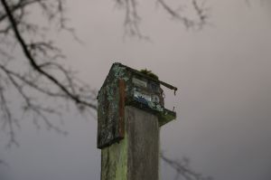 fascinating birdhouse