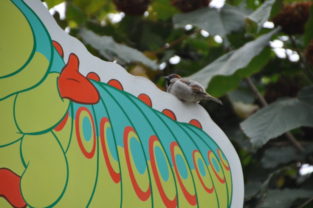 Sparrow resting on a sign in the shape of a caterpillar with a name and a ridiculous fake German accent.
