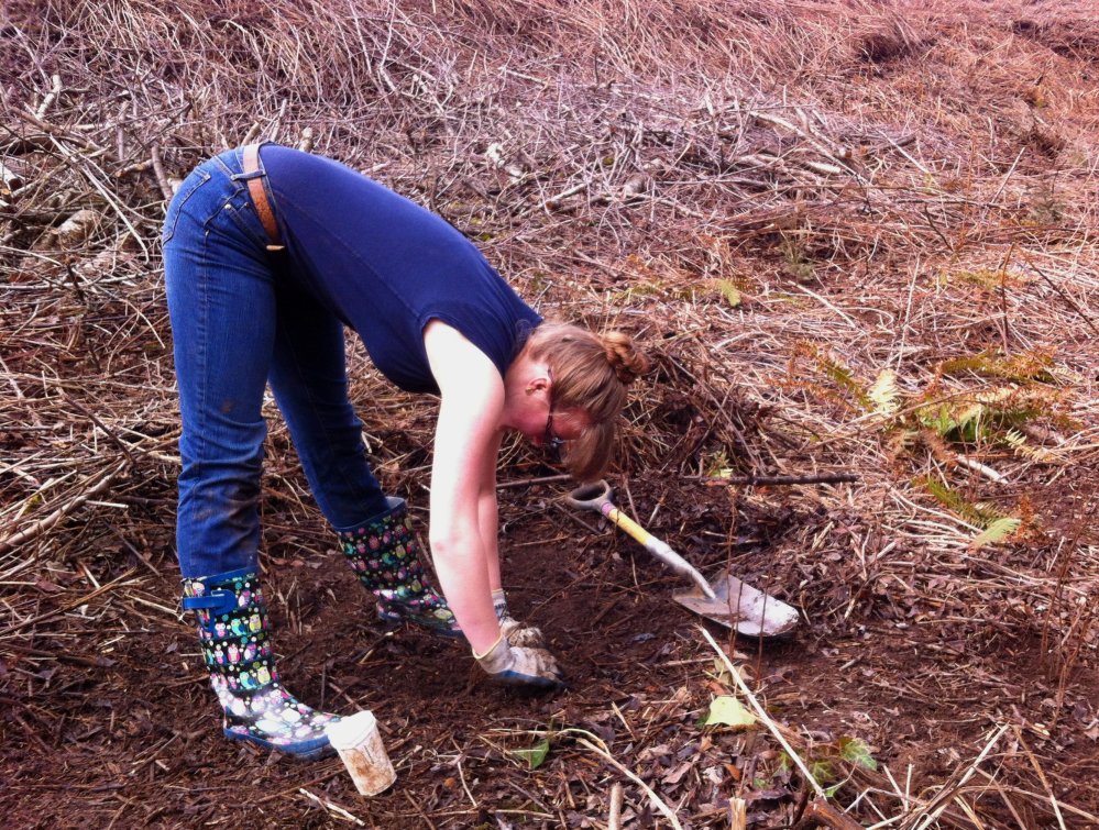 This is how ballerinas plant.