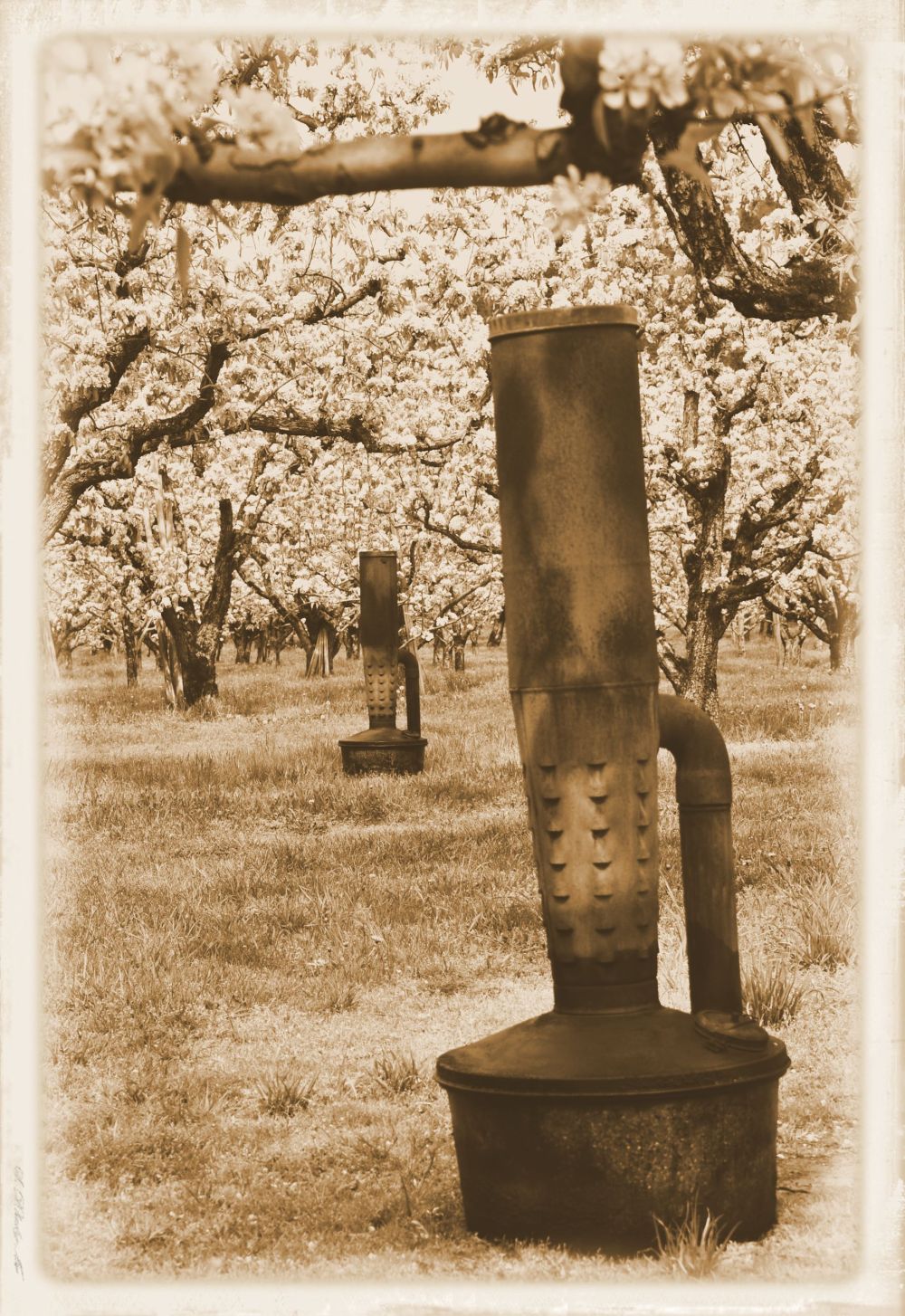 The result of me playing with the "time machine" feature of Paint Shop Pro.