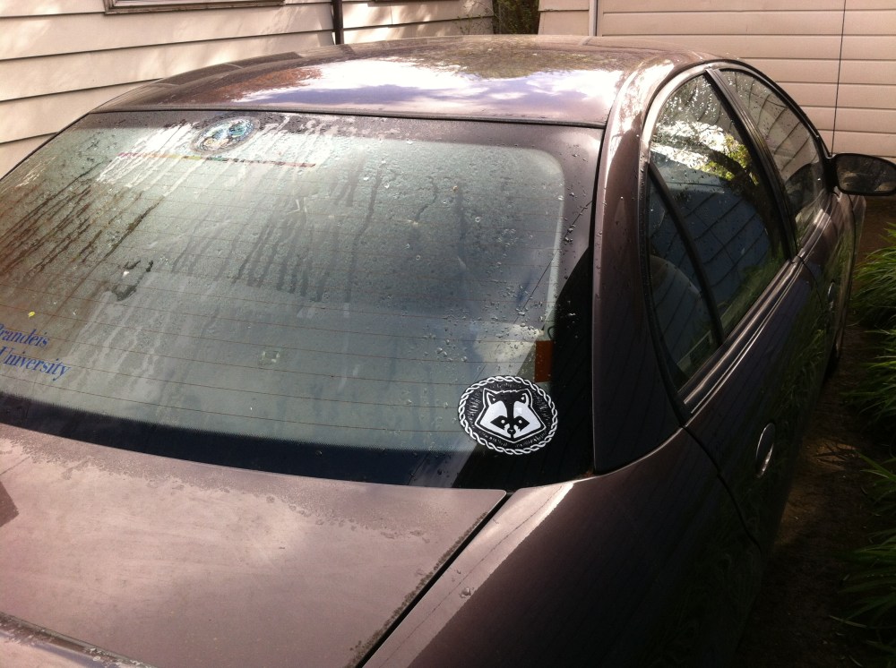 The first one goes on my car. This way I can take the raccoon with me all over the place.