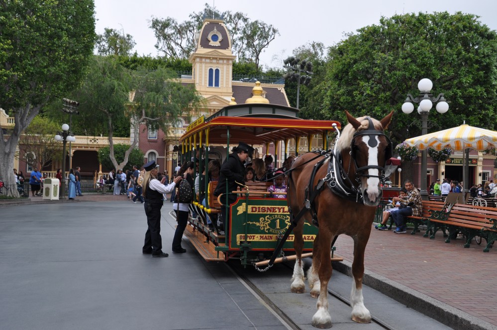 A peaceful and traditional ride through the park could be had with a horse and buggy.