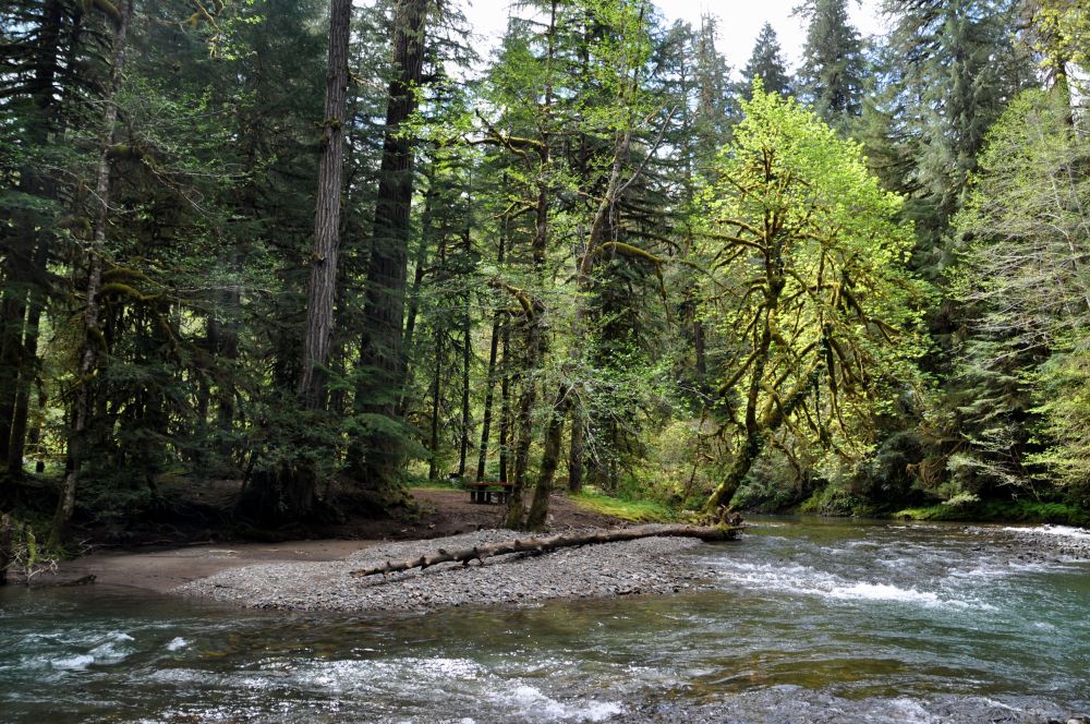 This campsite was across the river from the House Rock trail. I decided to stay there the following weekend with Tara.