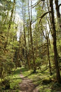 When the rain let up and the sun came out, the glow was irresistible.