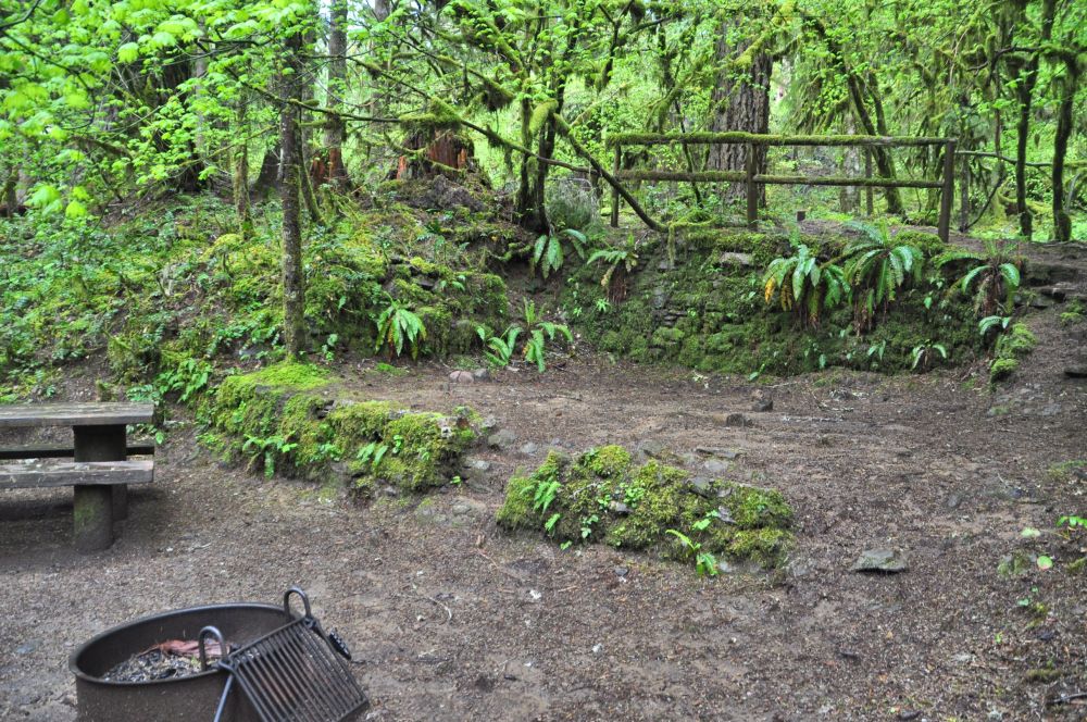 One of the cute campsites we found. What a jungle it is here!