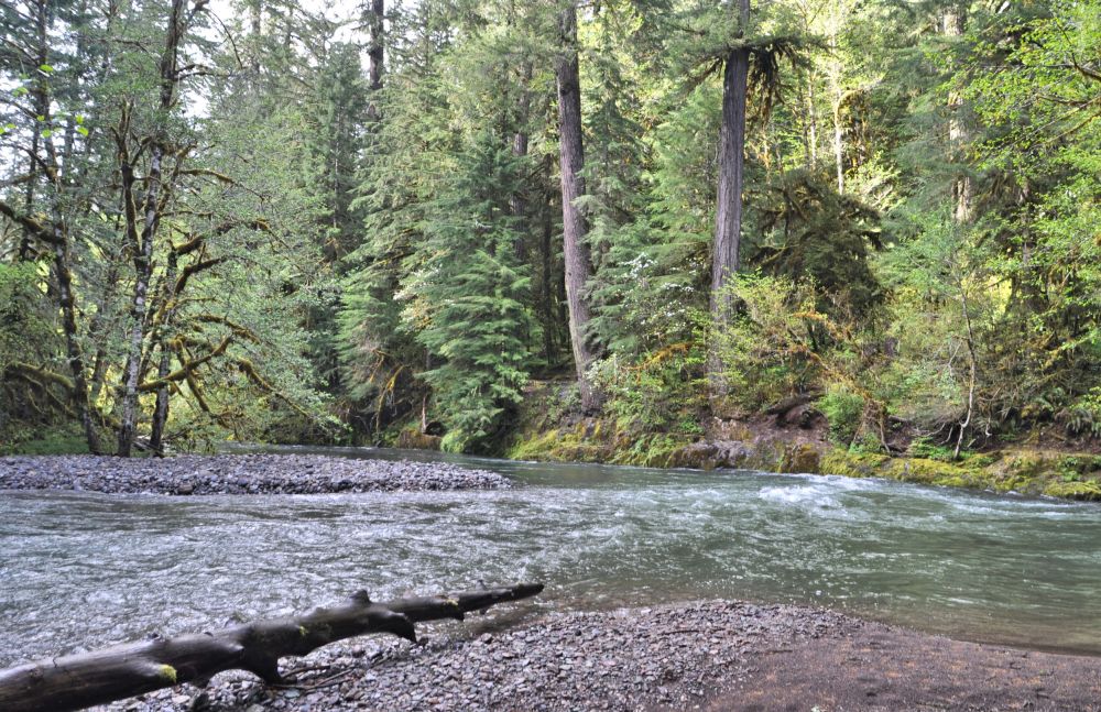 View from the picnic table in our campsite.