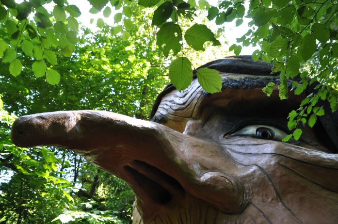 Wicked witch at Enchanted Forest