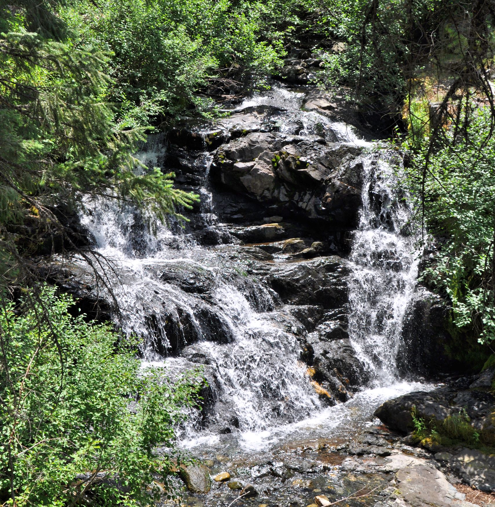 Another of the many falls on Grizzly Creek.