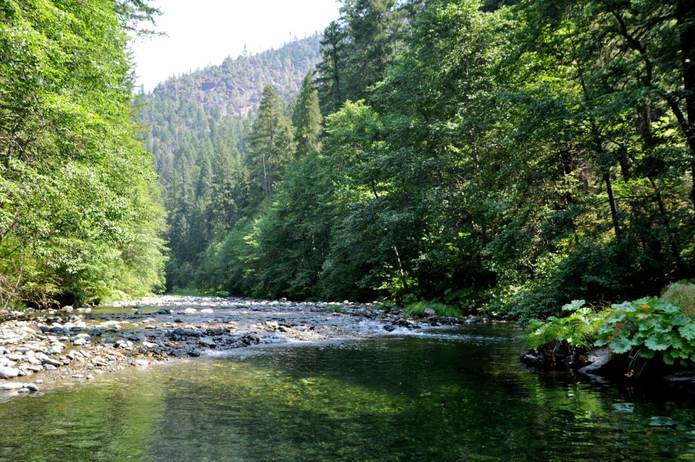 From the middle of the North Fork of the Trinity