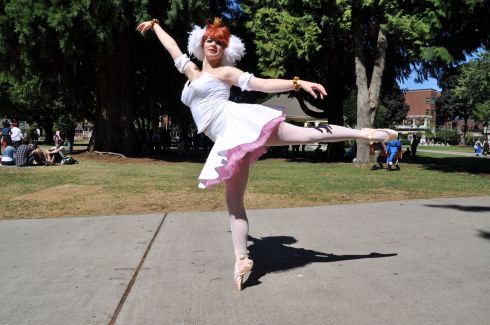 I took a dozen photos