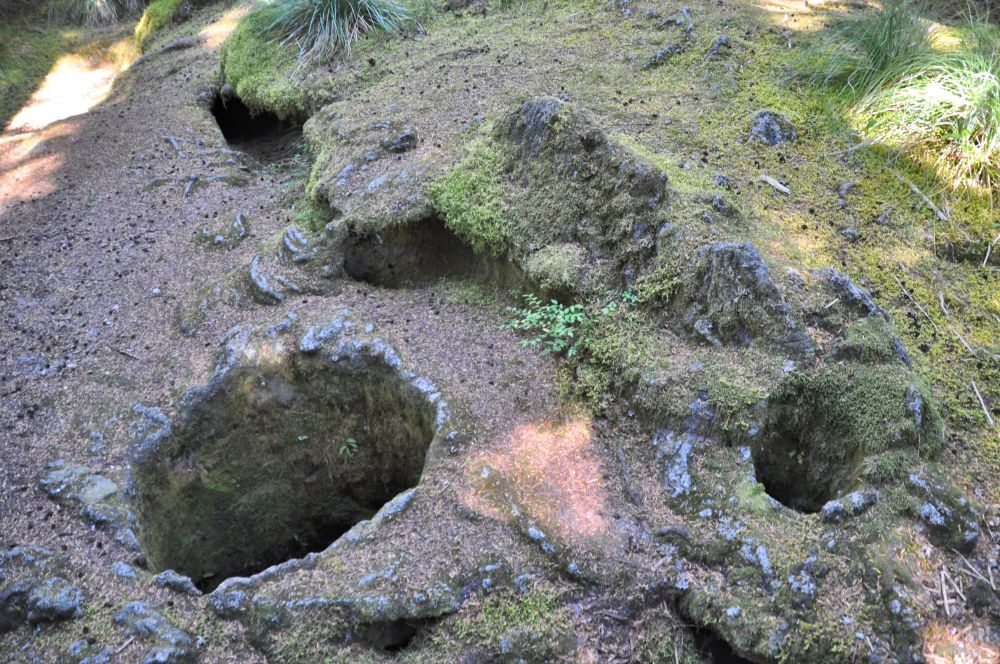 One hole from a tree that had been standing, and stretched from the top left toward the bottom right is the partial shell left from a tree that had been lying down when the lava hit.