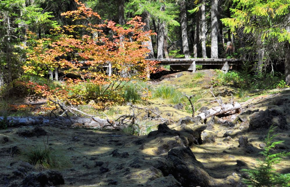 Evidence of the changing season.