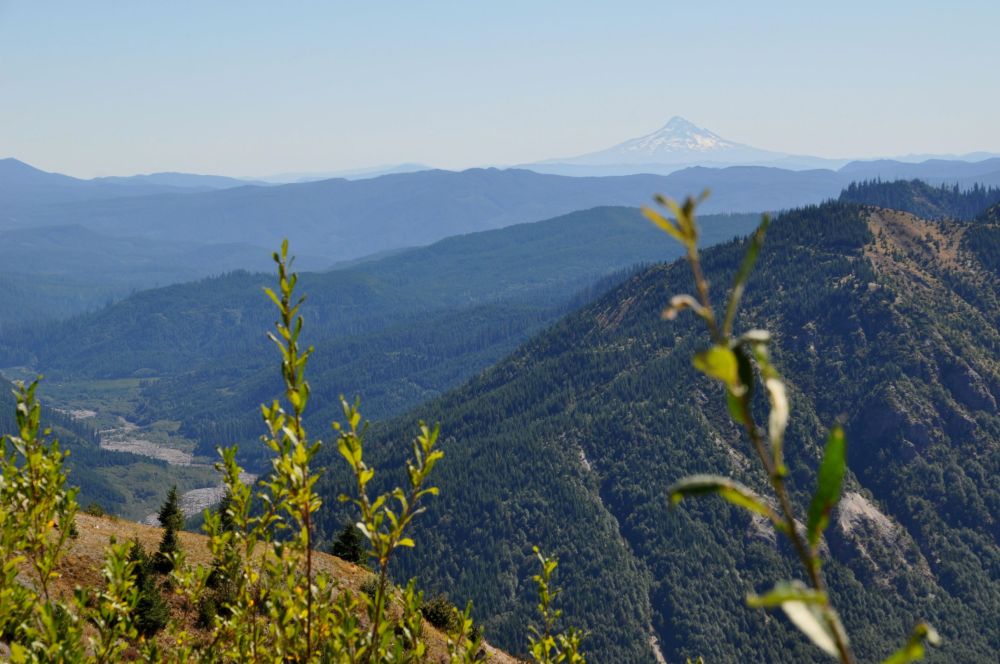 Mt. Hood