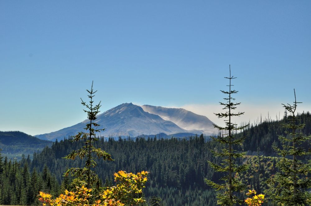 I am on the East side of St. Helens, and the wind is Easterly. So the air is clear over the forest, but in the places where the volcanic dust is still on the surface, the particles are raised high in the air. You can see the cloud moving off to the West.