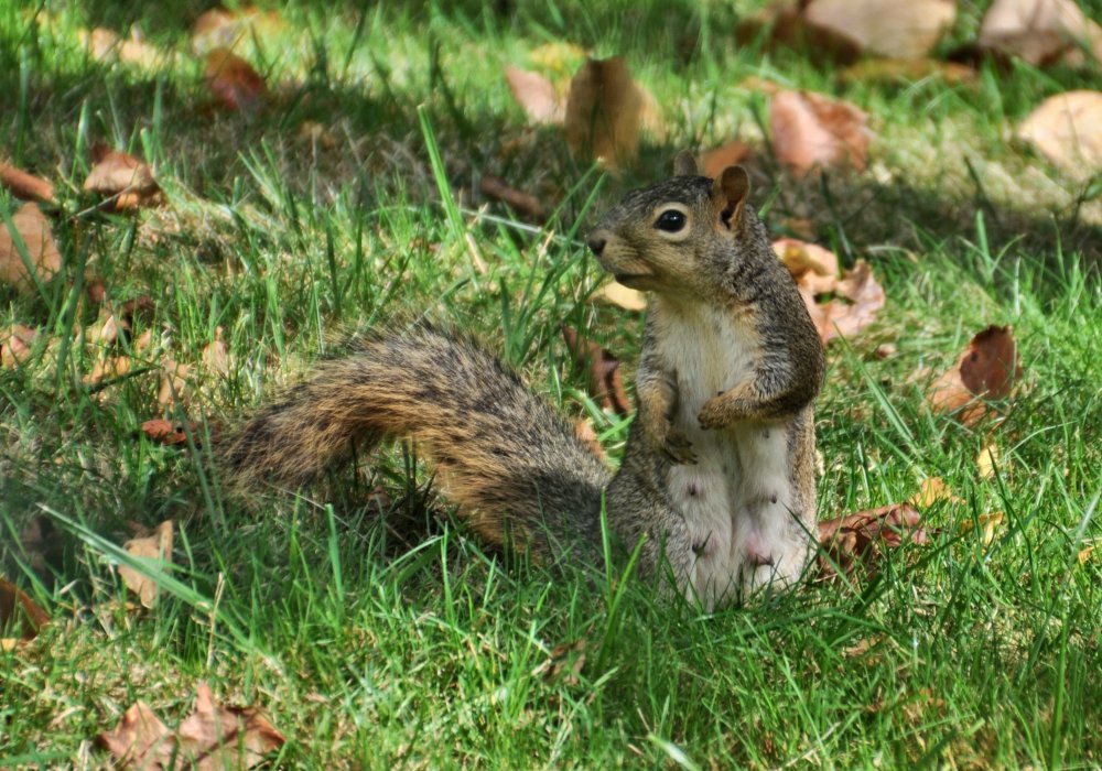 She says, "Um, excuse me? it isn't polite to stare."
