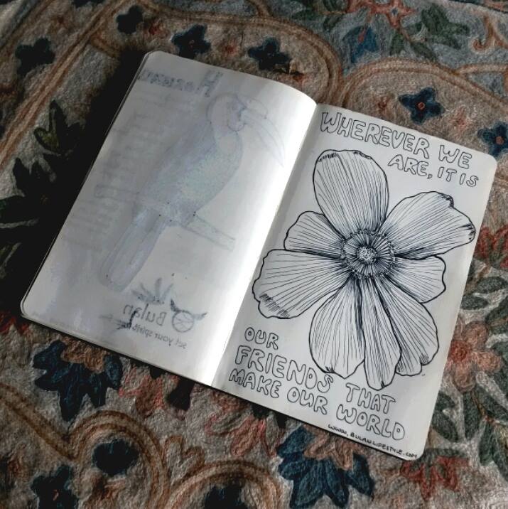 botanical illustration