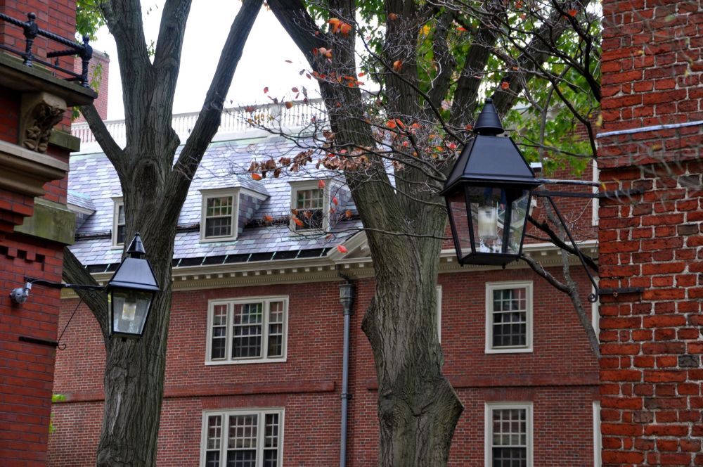 A glimpse of the Harvard Campus