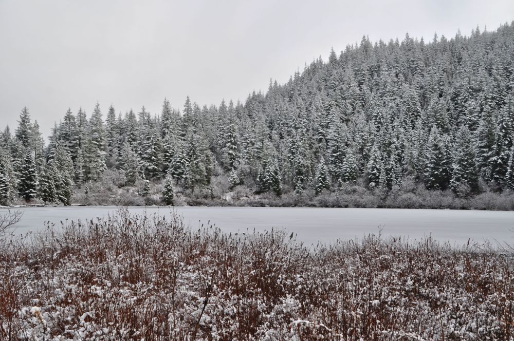 Modern art: stripes of red and white and black. Sort of ;-)