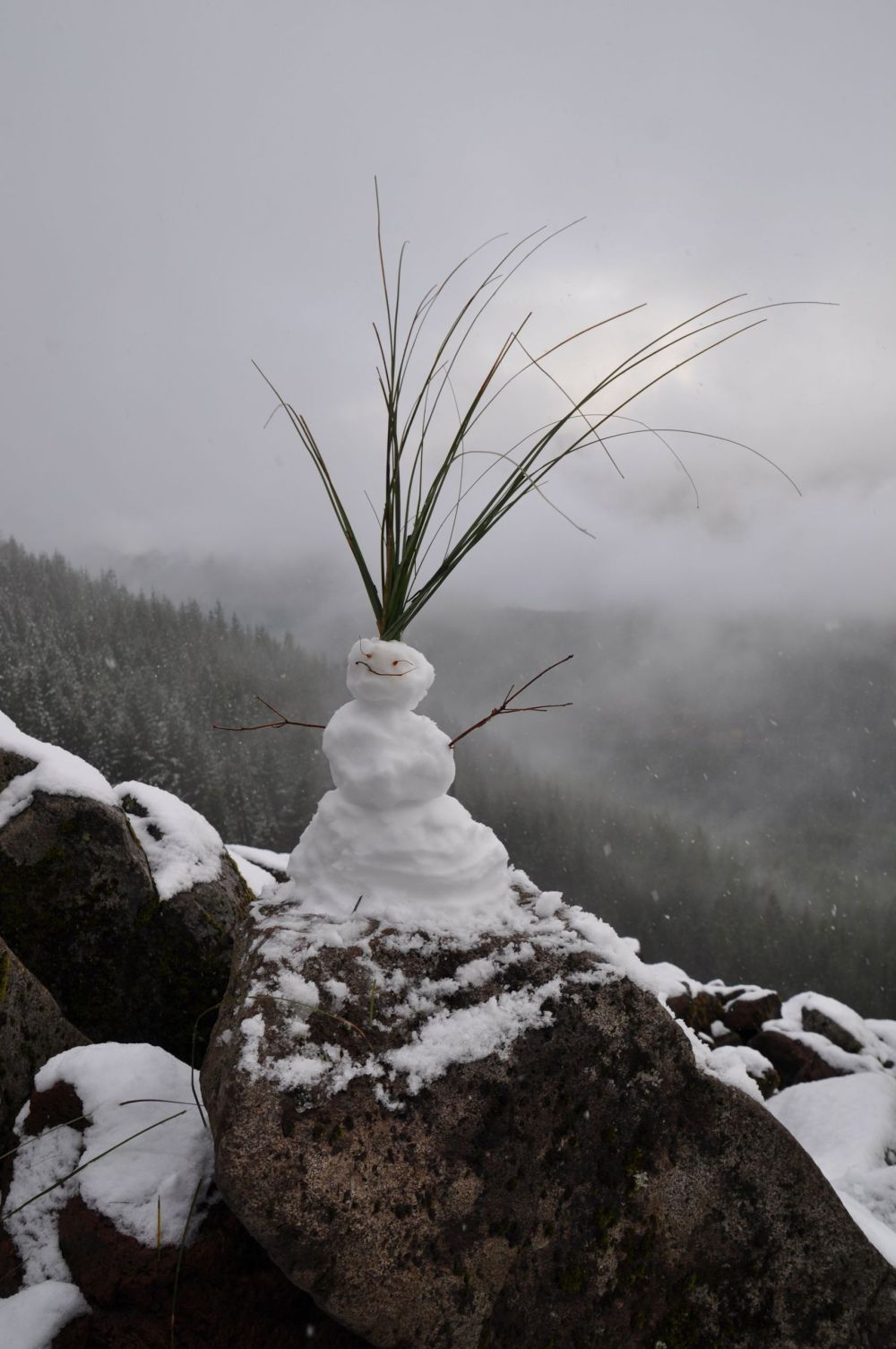 This little guy along the trail on the way home gave me a happy "So Long!"