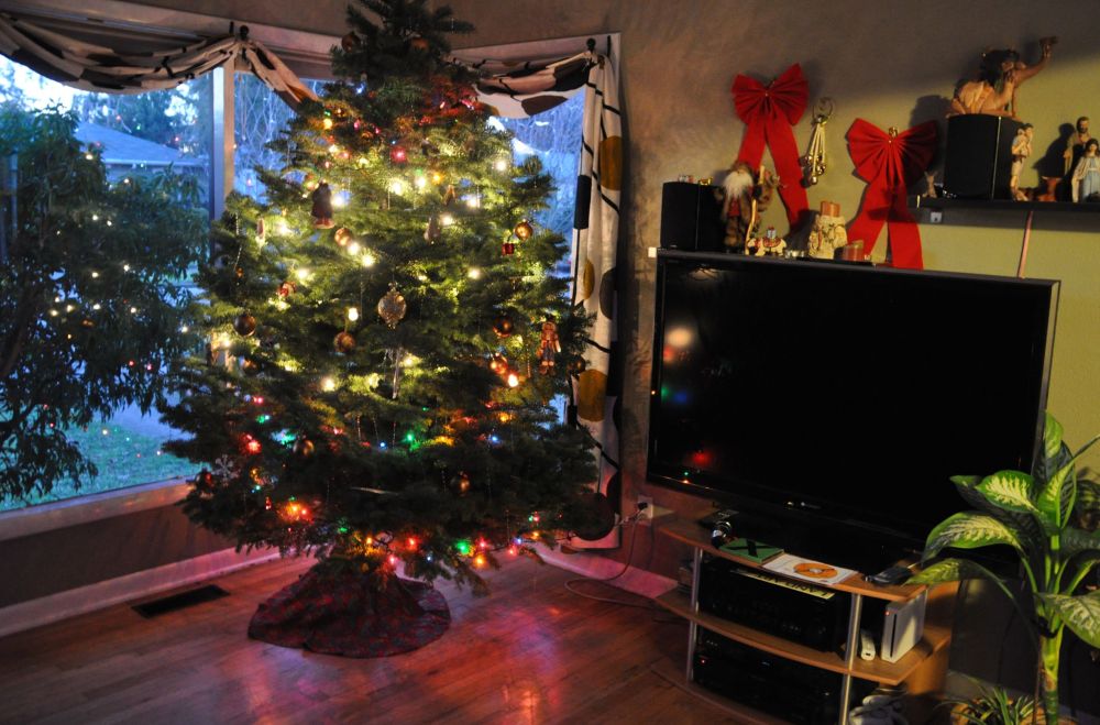 Gifts gone, and it looks a little empty beneath that tree. I love how the lights reflect off the floor.