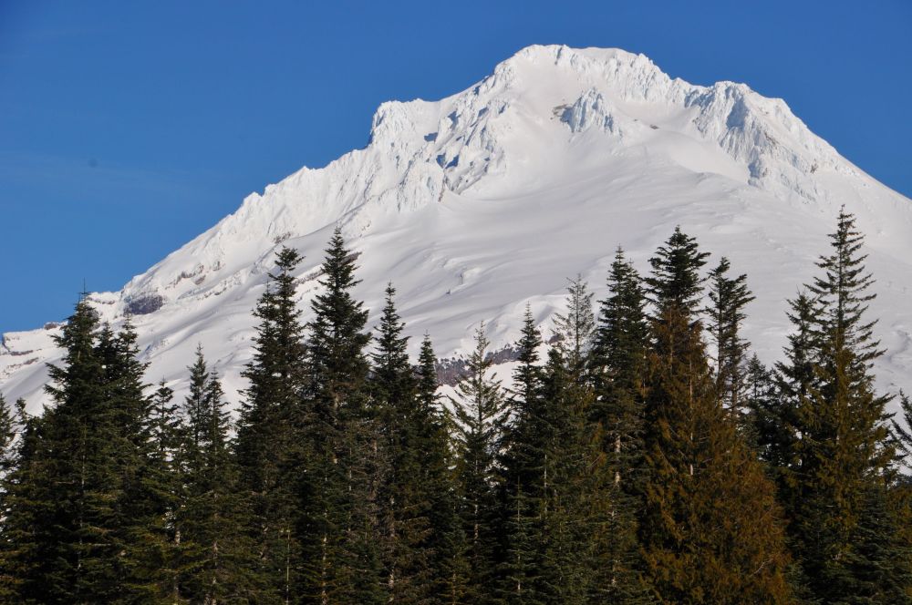 Trying to capture the iceberg blue in the shadows, but it doesn't show up.