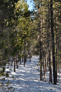 The snow at this point was easy to walk through.
