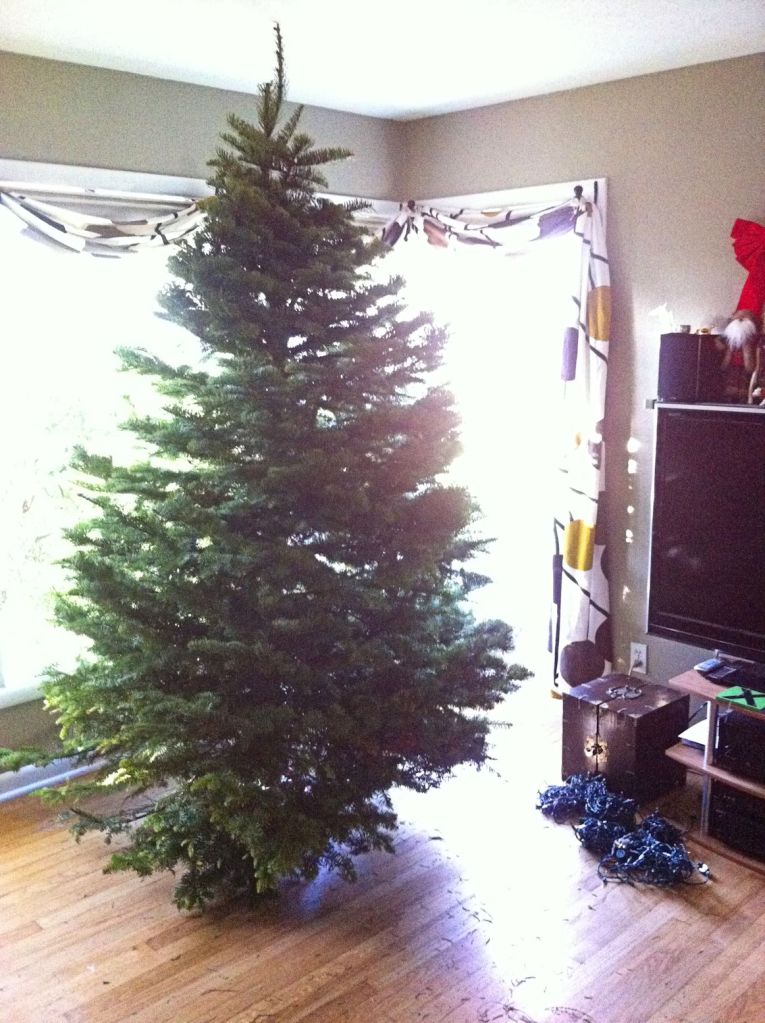 Stringing lights and scattering needles everywhere. (I'm still finding them!)