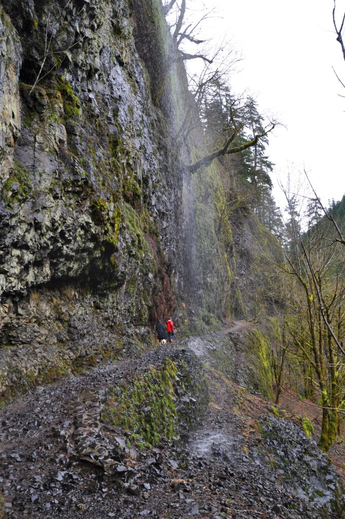 People ahead of us on the trail walk behind a waterfall.