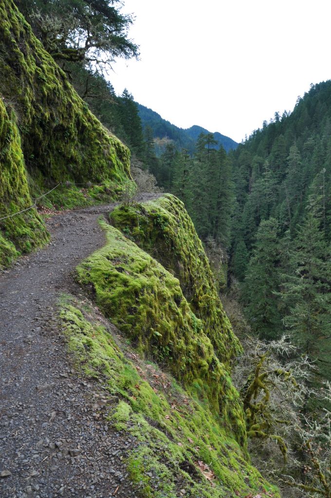 The trail was dynamited out of the side of a cliff.